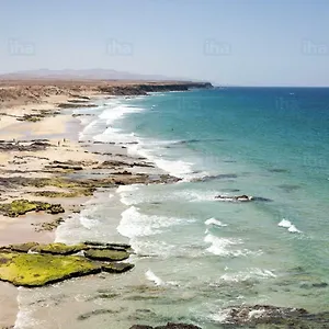 Oliastur Cotillo